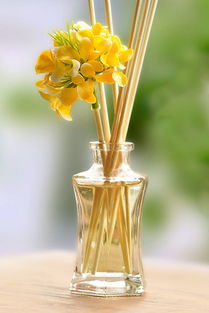 家居 百货 香熏用品 洗护清洁剂 卫生纸 湿巾 香薰 香薰藤条 红领巾幼儿园 蘑菇街优店